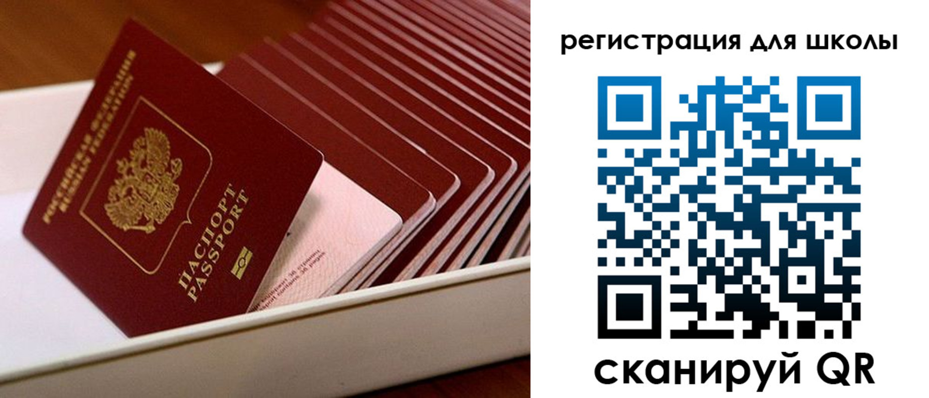 прописка гарантия в Котельниково